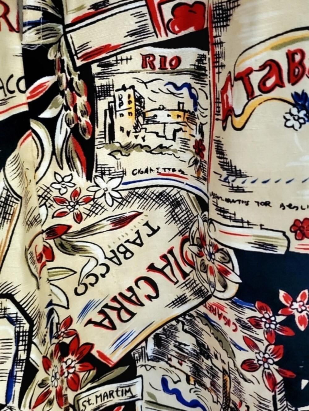 Maxi Skirt with Vintage Travel Motif